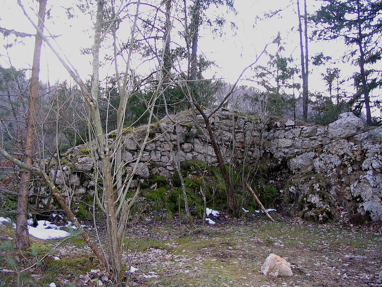 Ruine Gutenfels