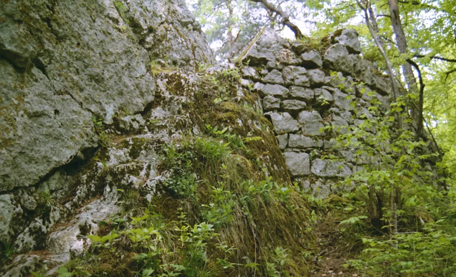 Burgruine Fürstenstein
