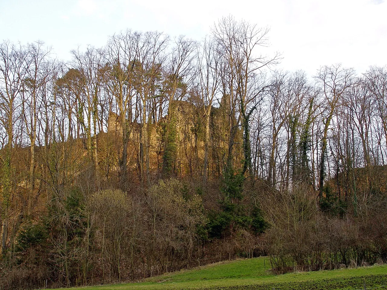 Ruine Schalberg