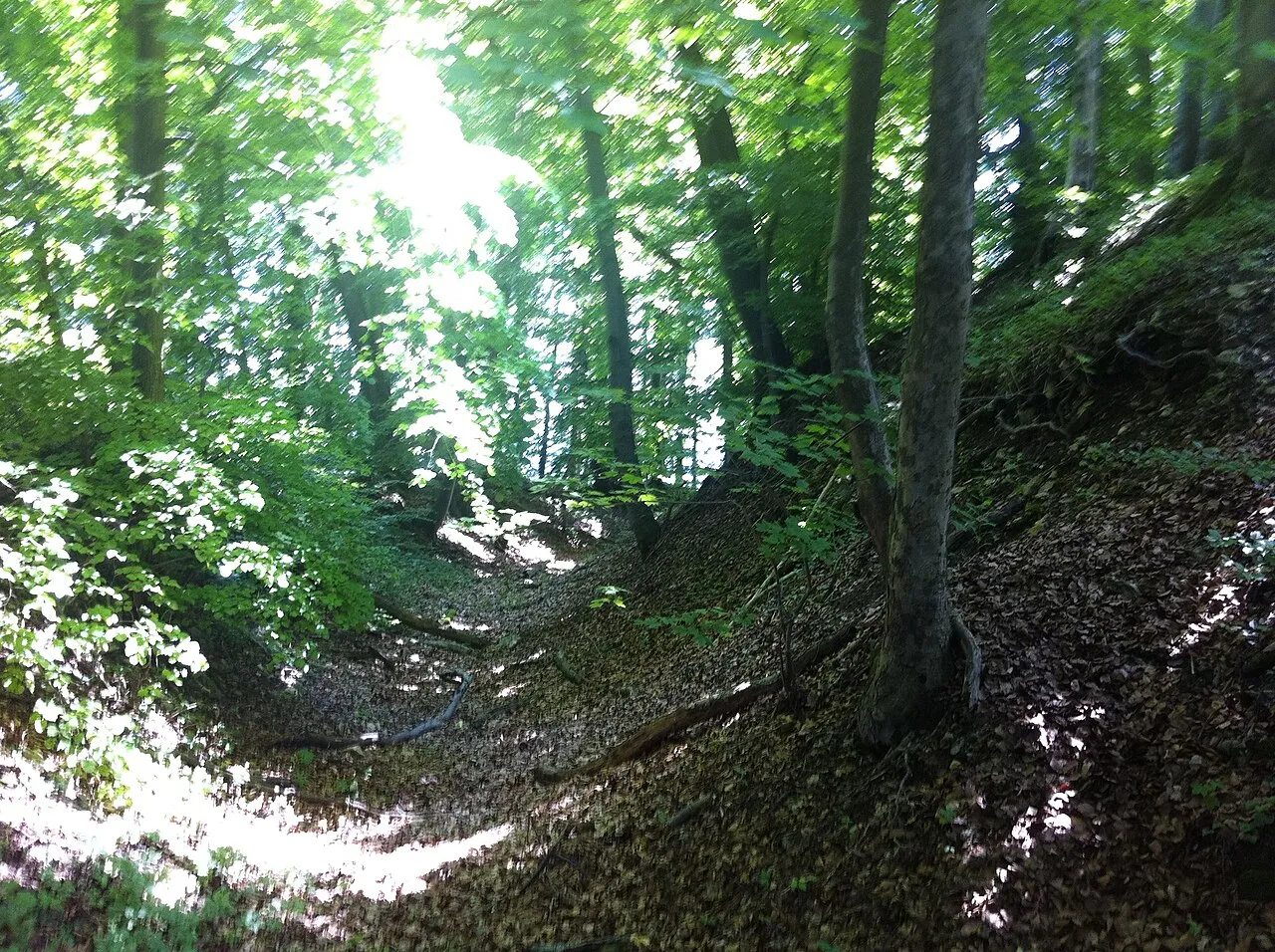 Ruine Madeln