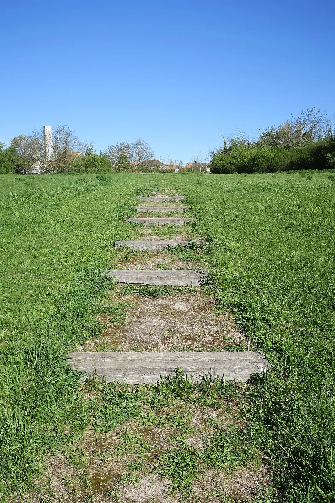 Motte castrale du Rebberg Grosstueck