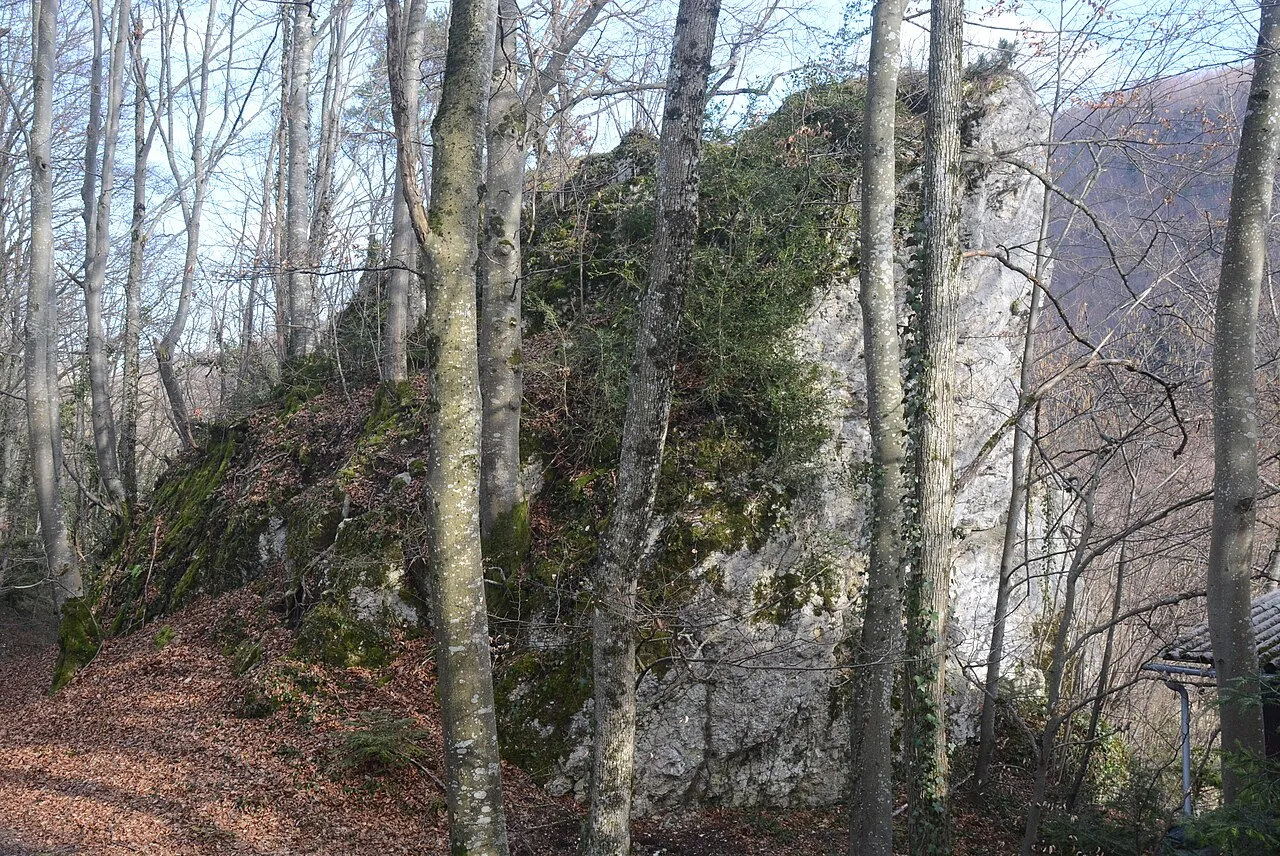 Ruine Alt-Biederthal