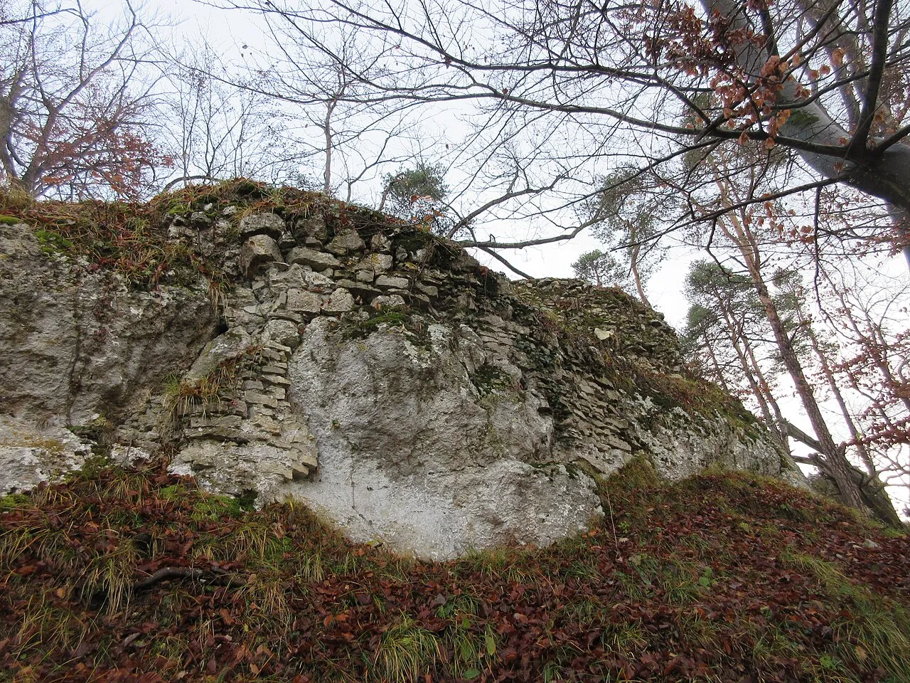 Ruine Hintere Birseck