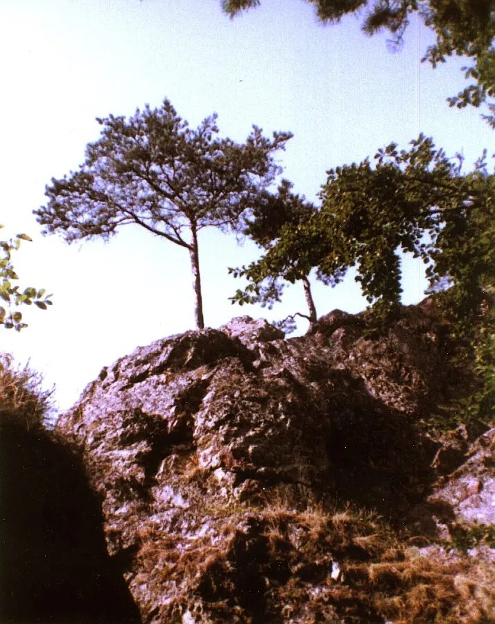 Räuberschlössle