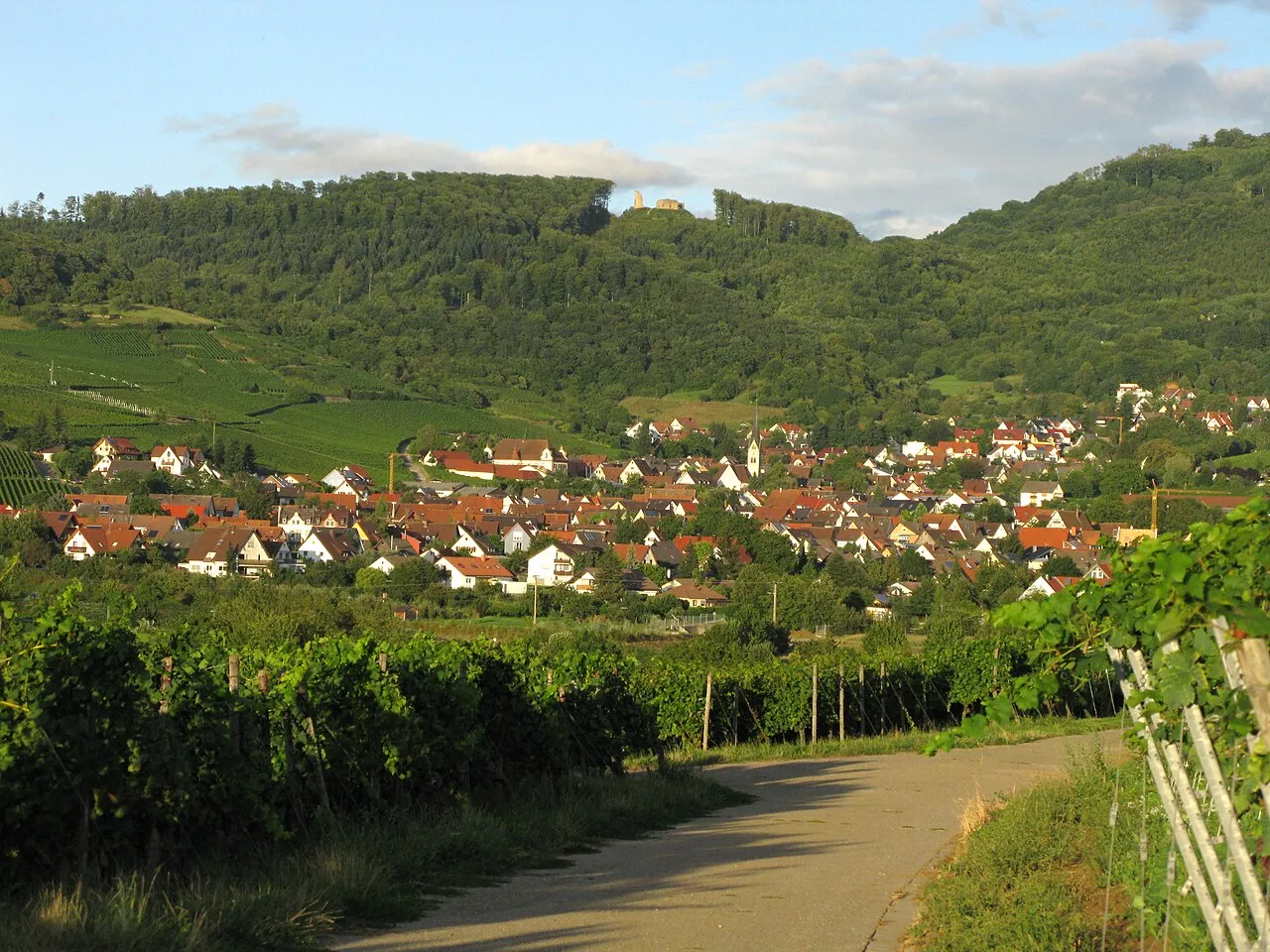 Burgruine Schneeburg