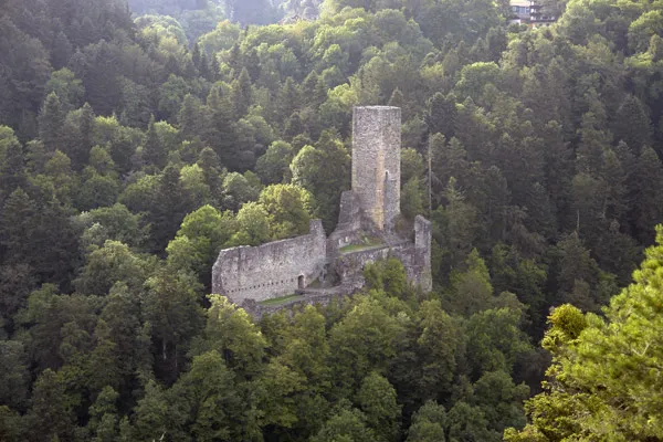 Ruine Wieladingen