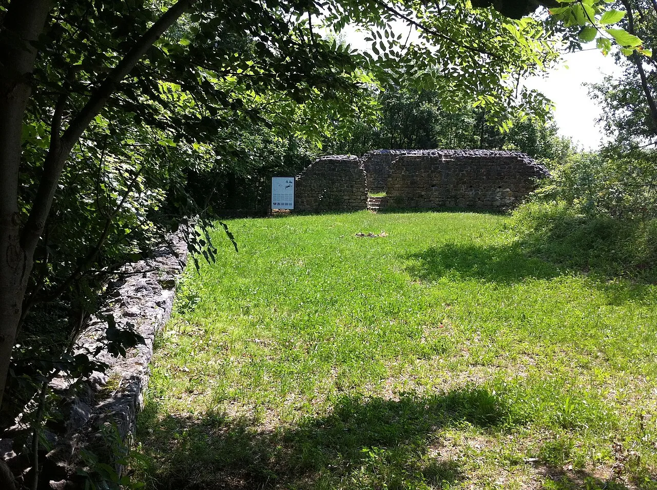 Ruine Altenberg