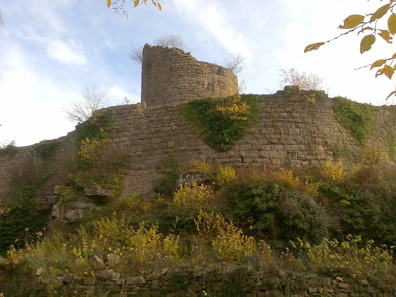 Les châteaux forts du Haut-Kœnigsbourg