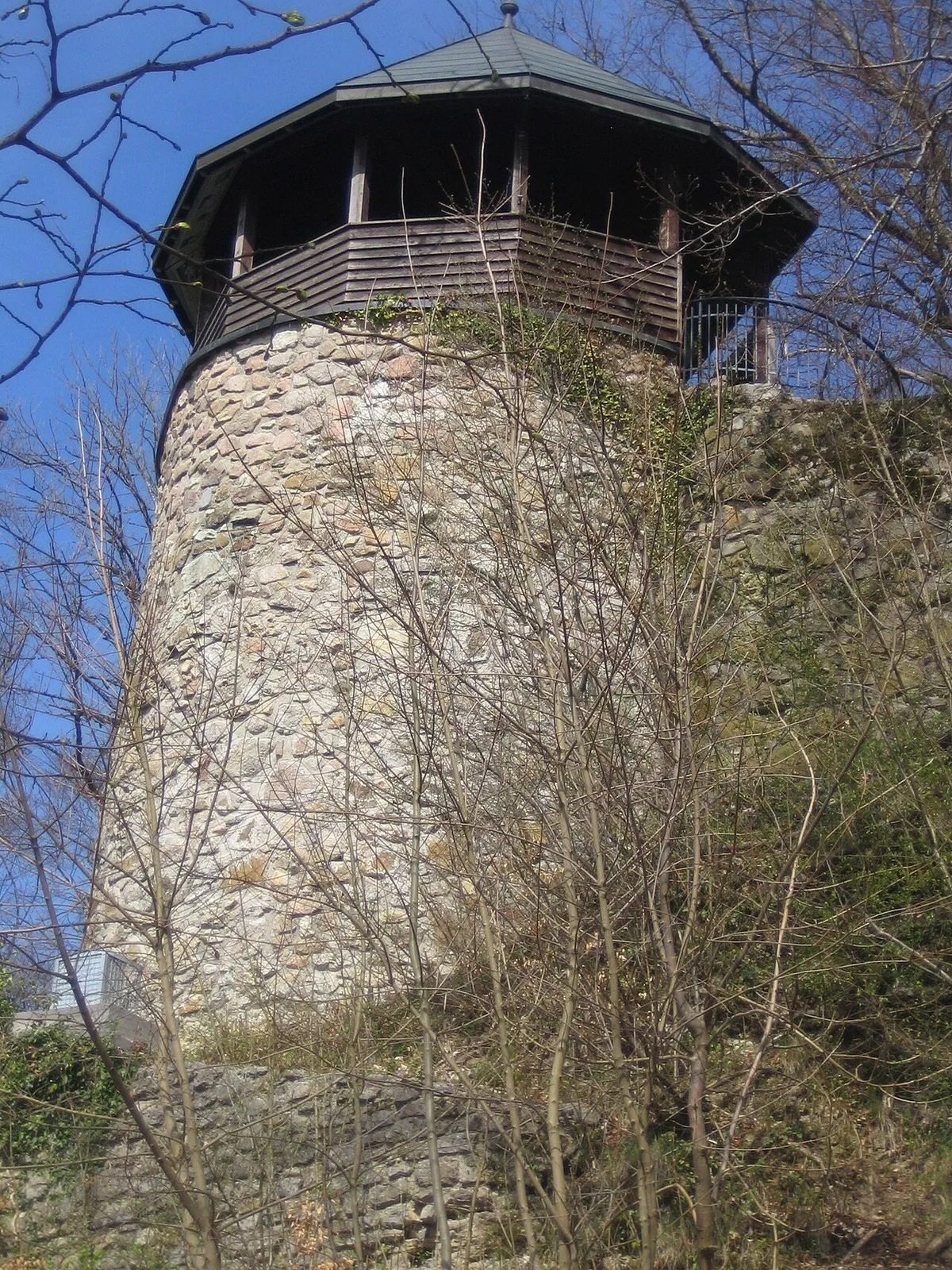 Burgruine Werrach
