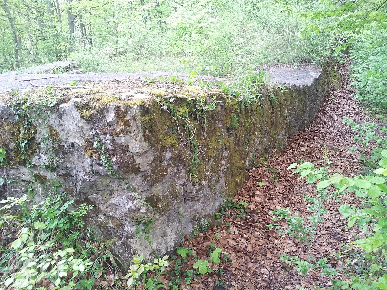 Fliehburg Strenger Felsen