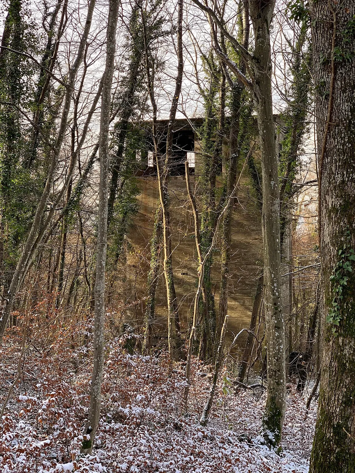 Erzsilo