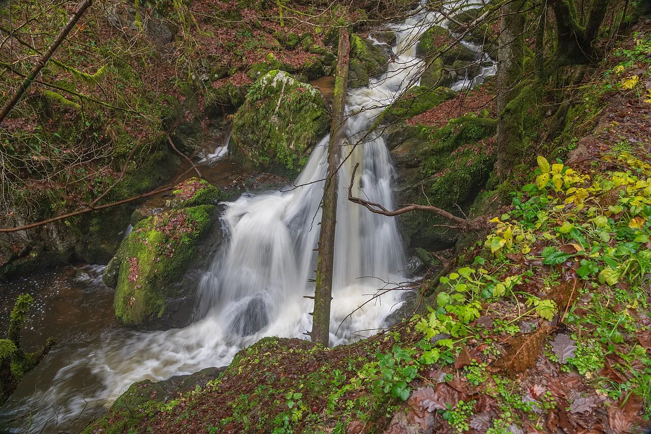 Murg-Wasserfall I