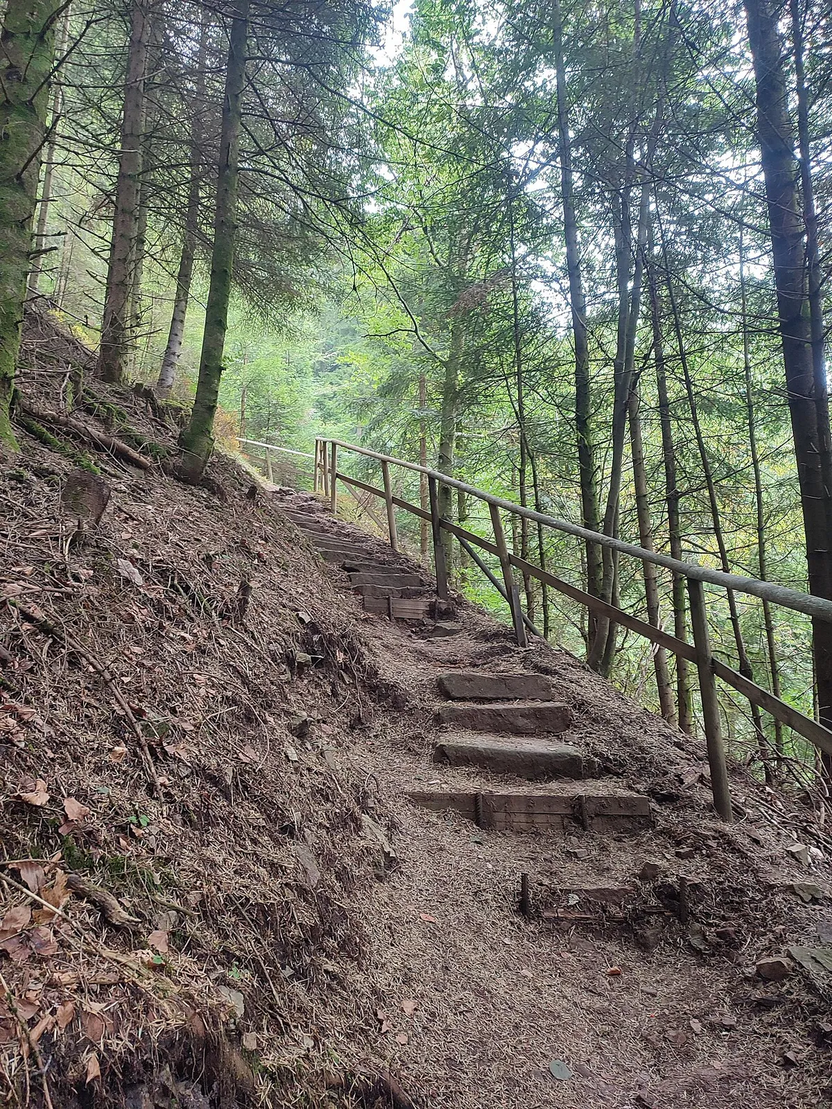Südliche Griesbacher Wasserfälle