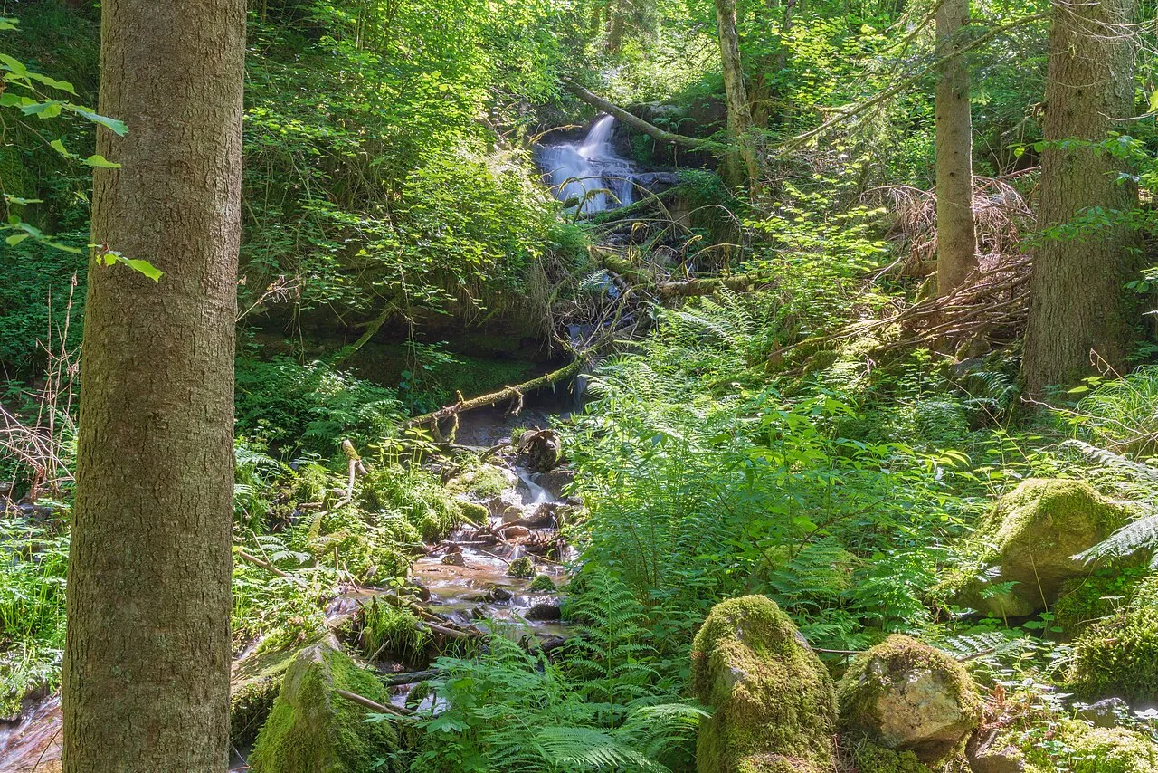 Atzenbacher Wasserfall