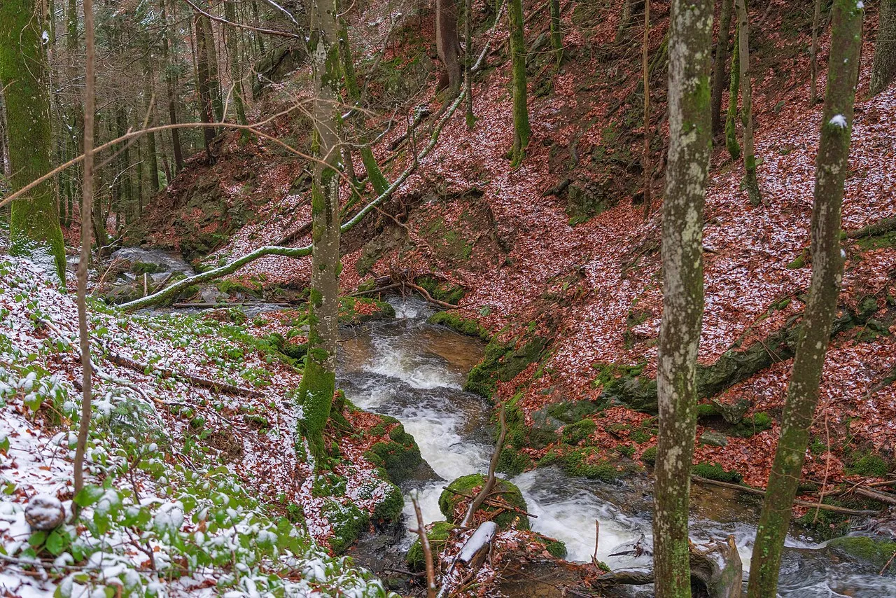 obere Alpersbach-Wasserfälle