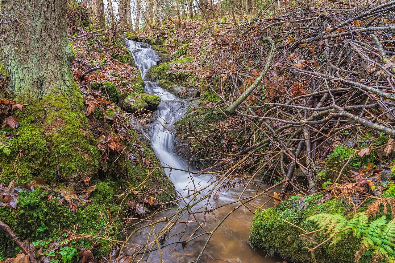 Fischbach-Wasserfall