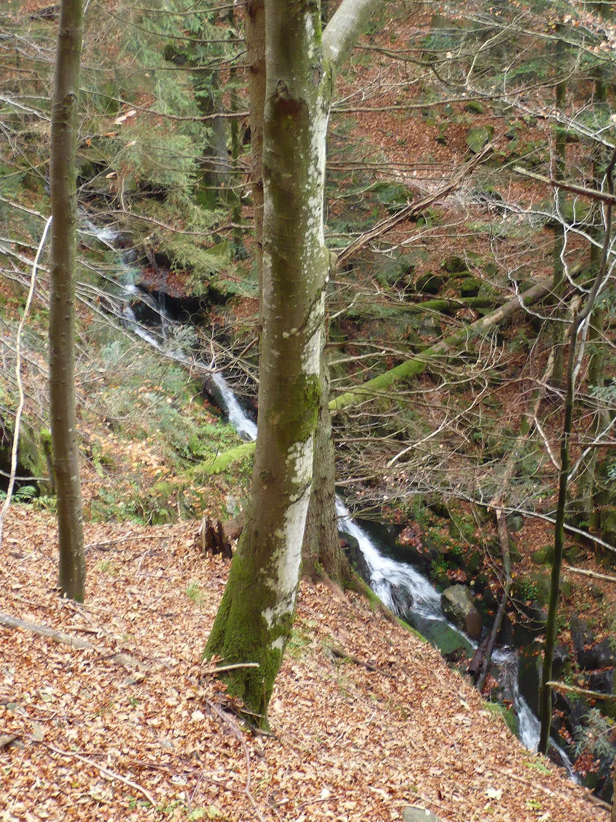 Hirschbachfälle