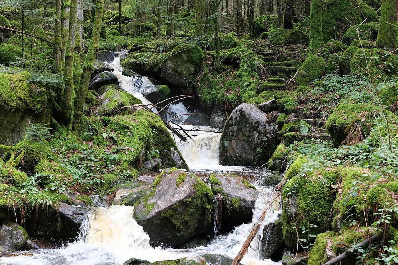 Grimbach-Wasserfälle