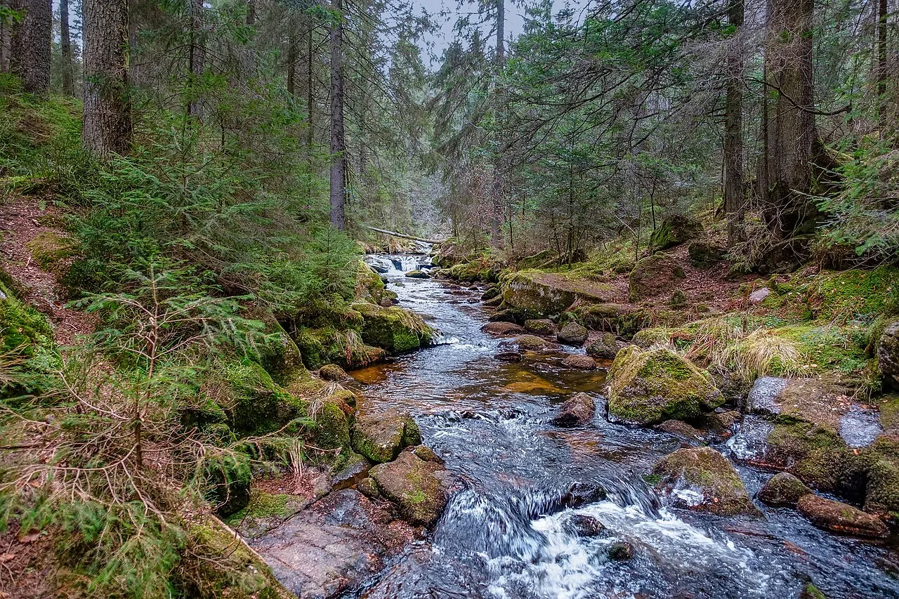 Kleiner Fall des Schwarzenbächle
