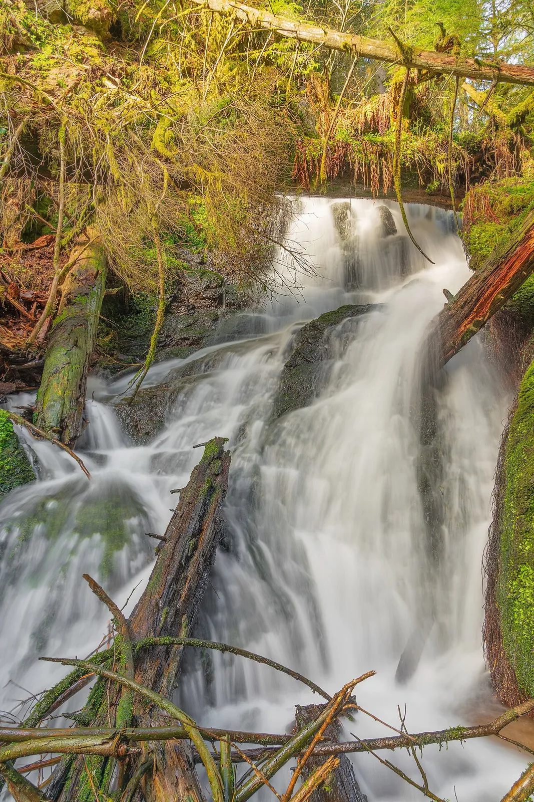 Schönenbach-Wasserfall (oberes Mettma-Tal)