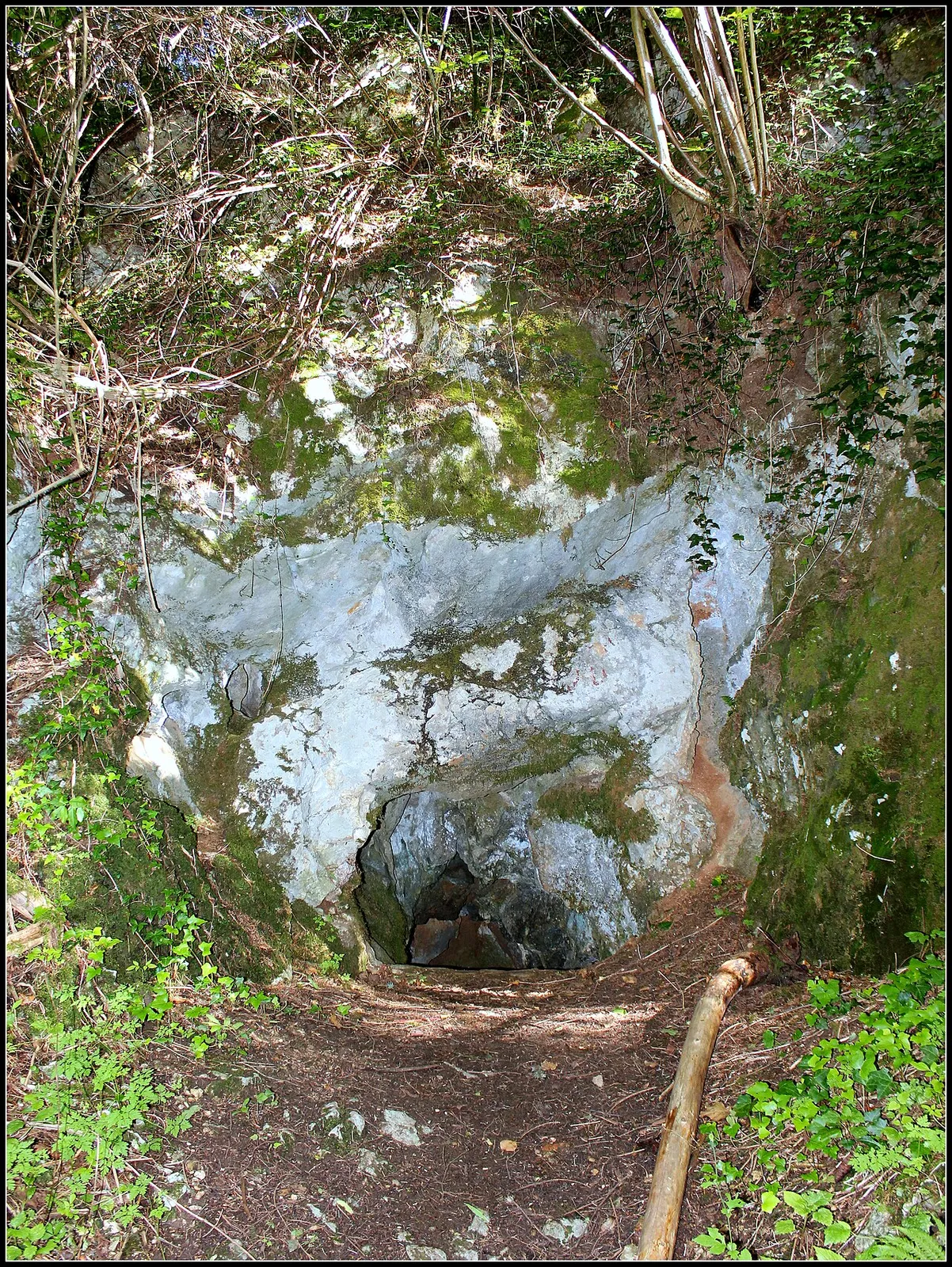 Grotte du Hohlenstein