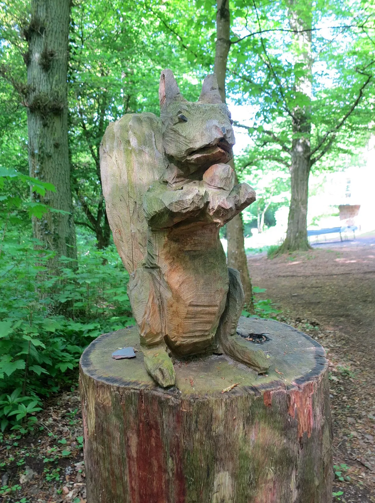 Eichhörnchen
