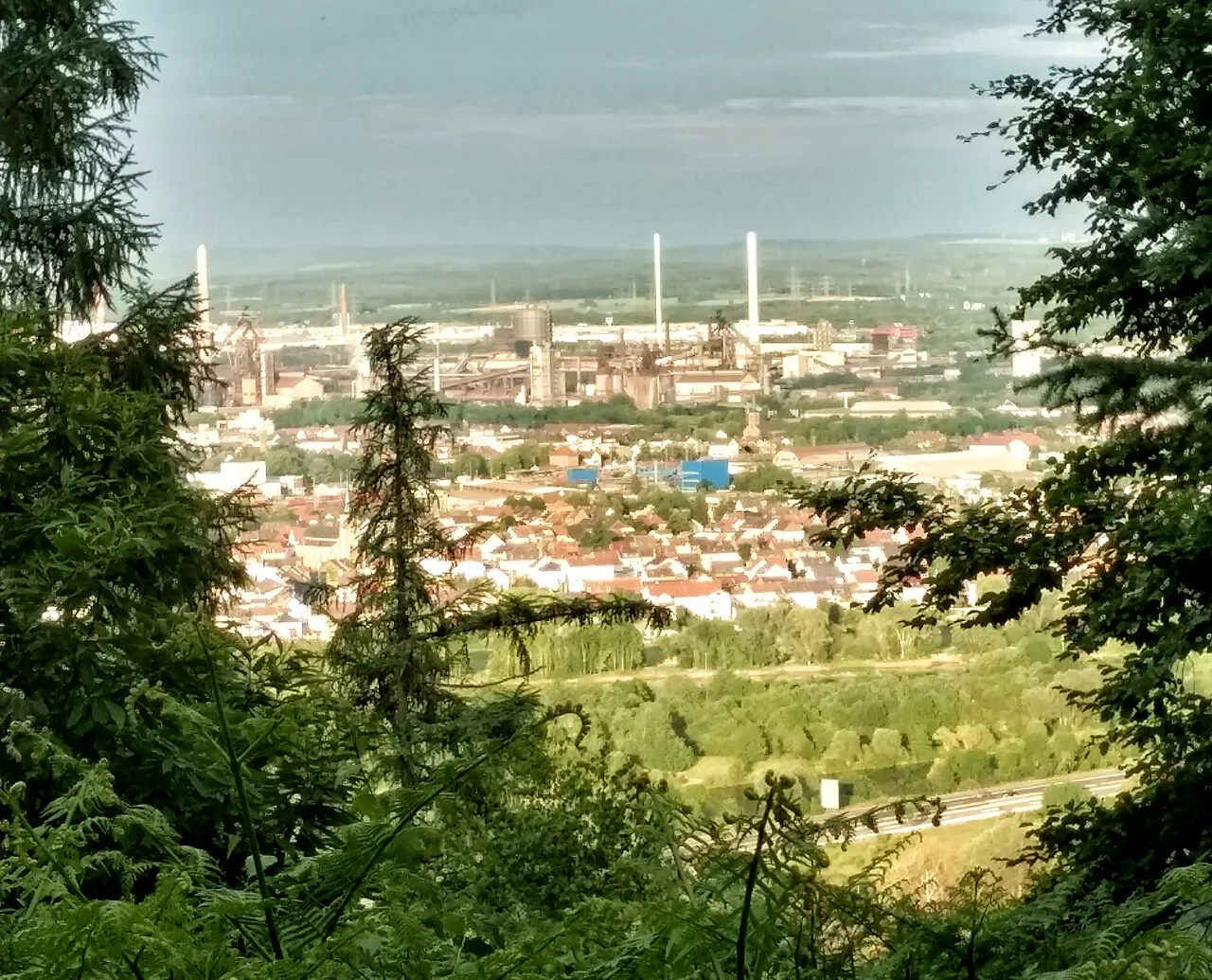 Aussicht zw. Bäumen