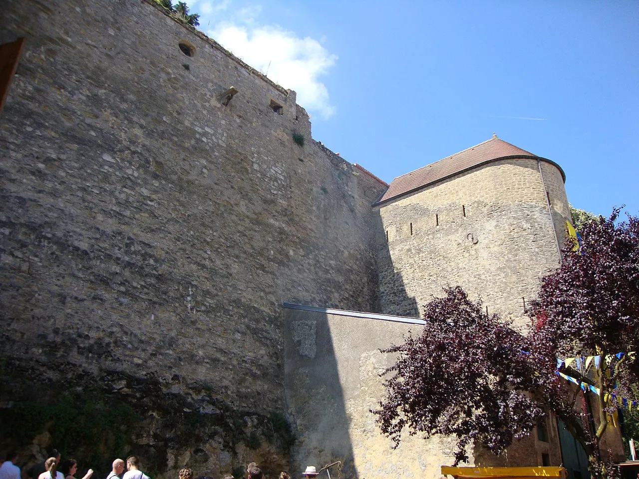 Château-fort (restes)