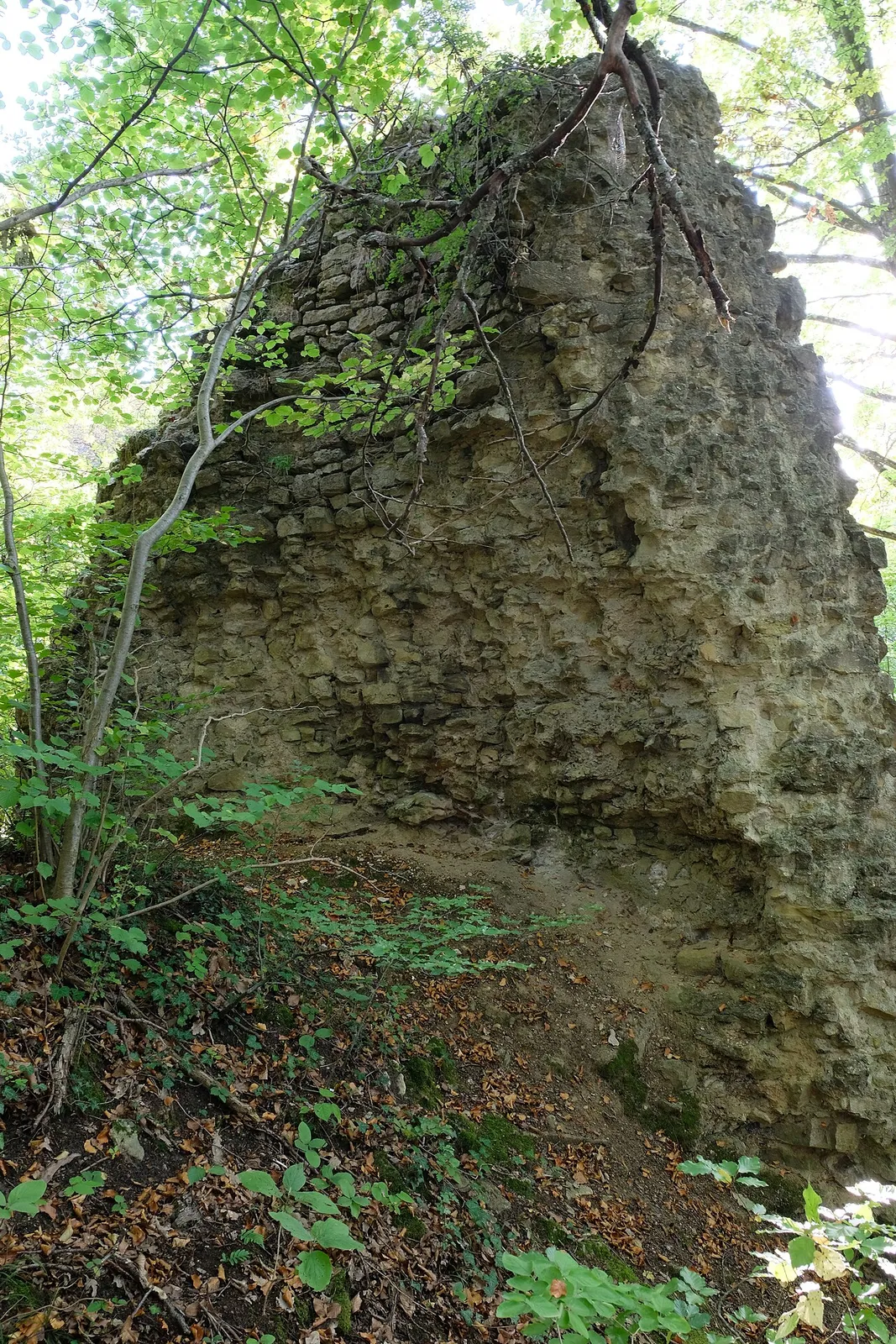 Forteresse des Rays