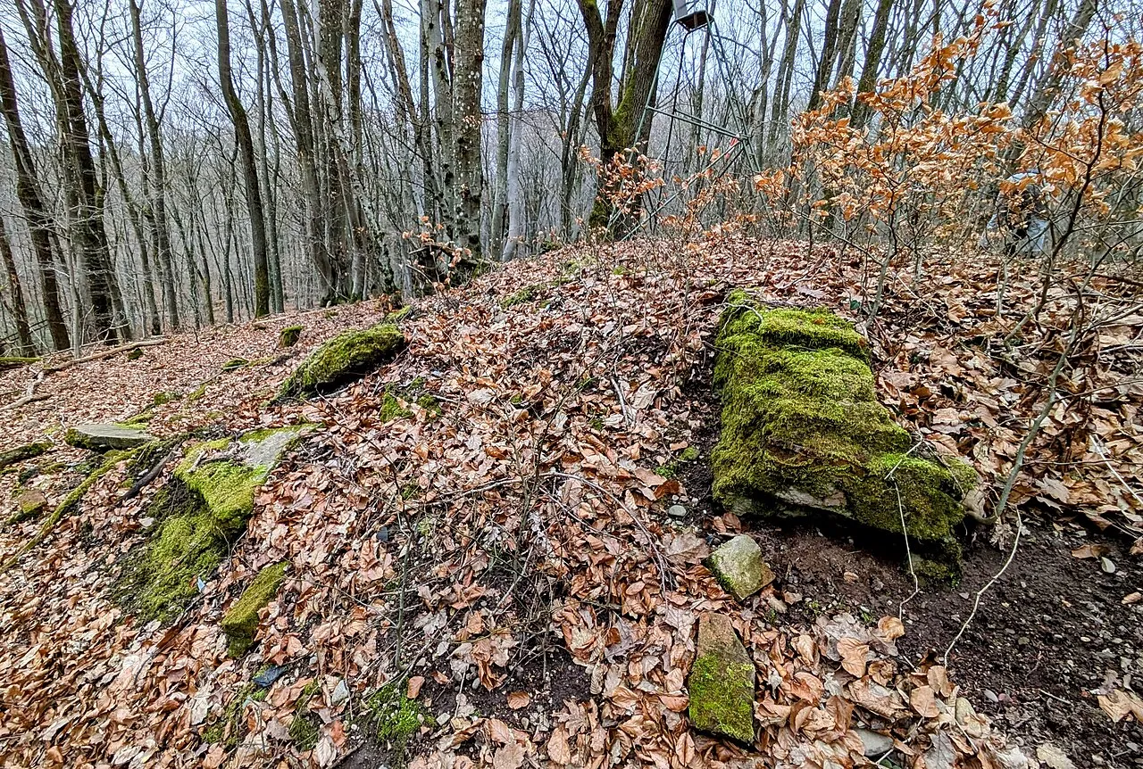 Fundamentreste der Jagdbütte im Hüttenwald