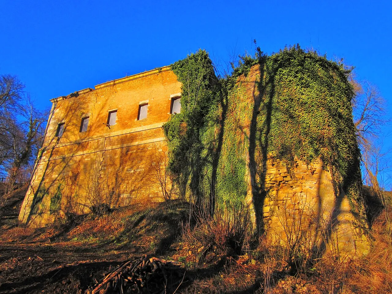 Ruine du Château d'Ottange