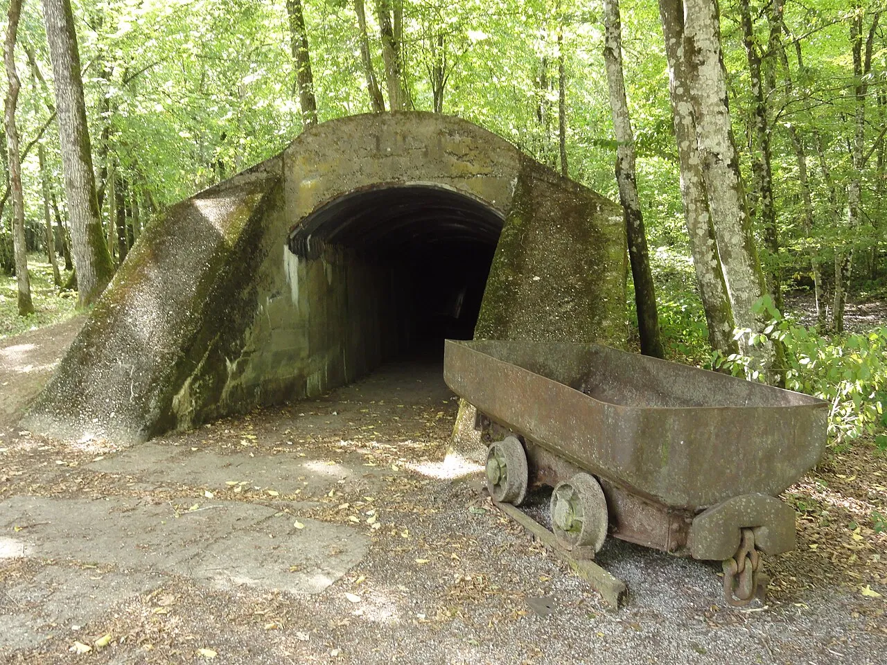 La batterie de Duzey