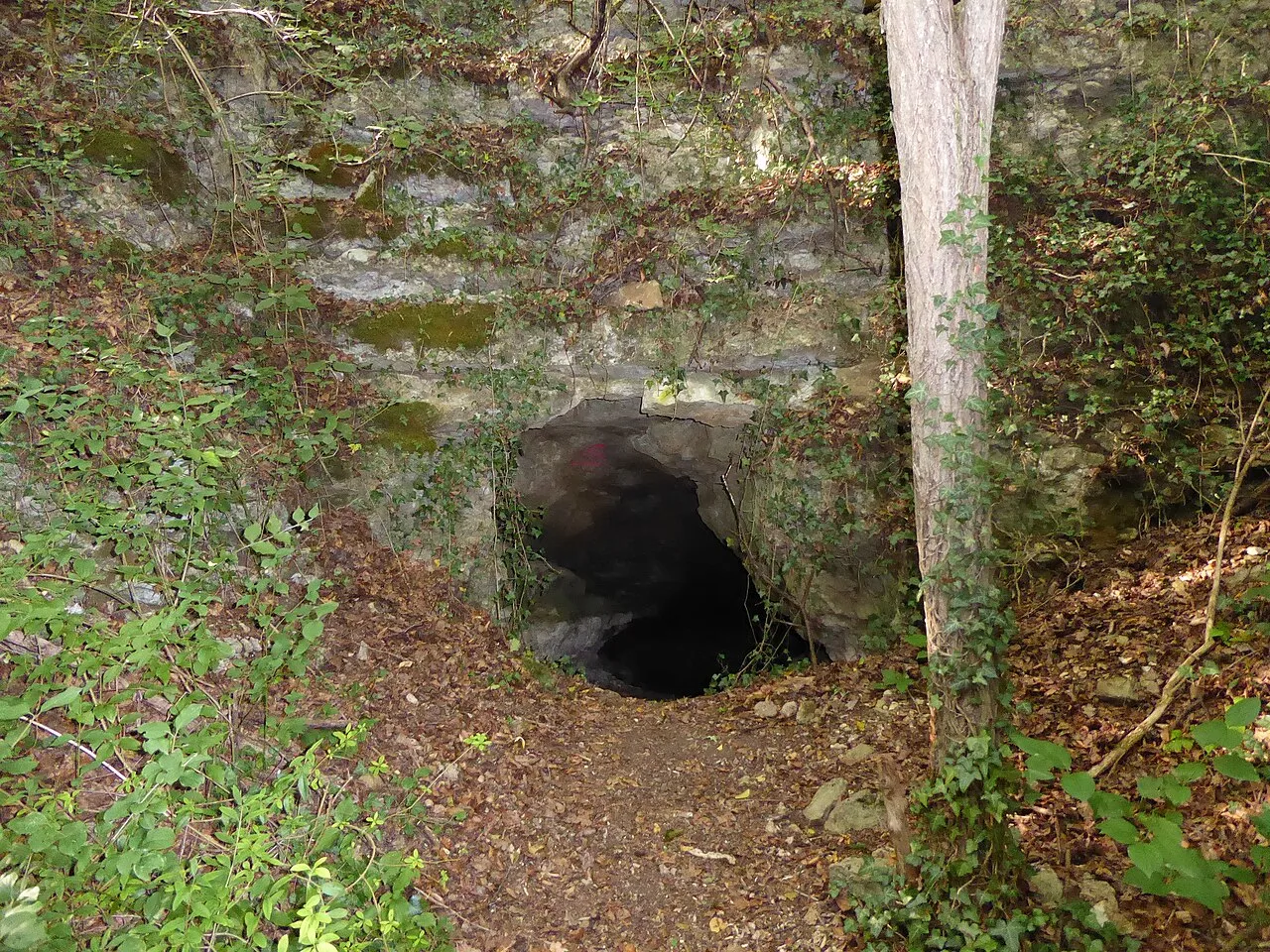 Grotte des Sept Salles