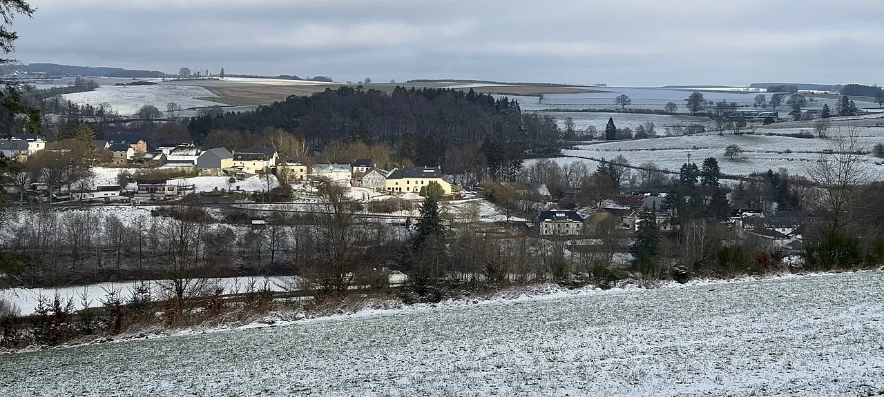Roude Schéierschwanz