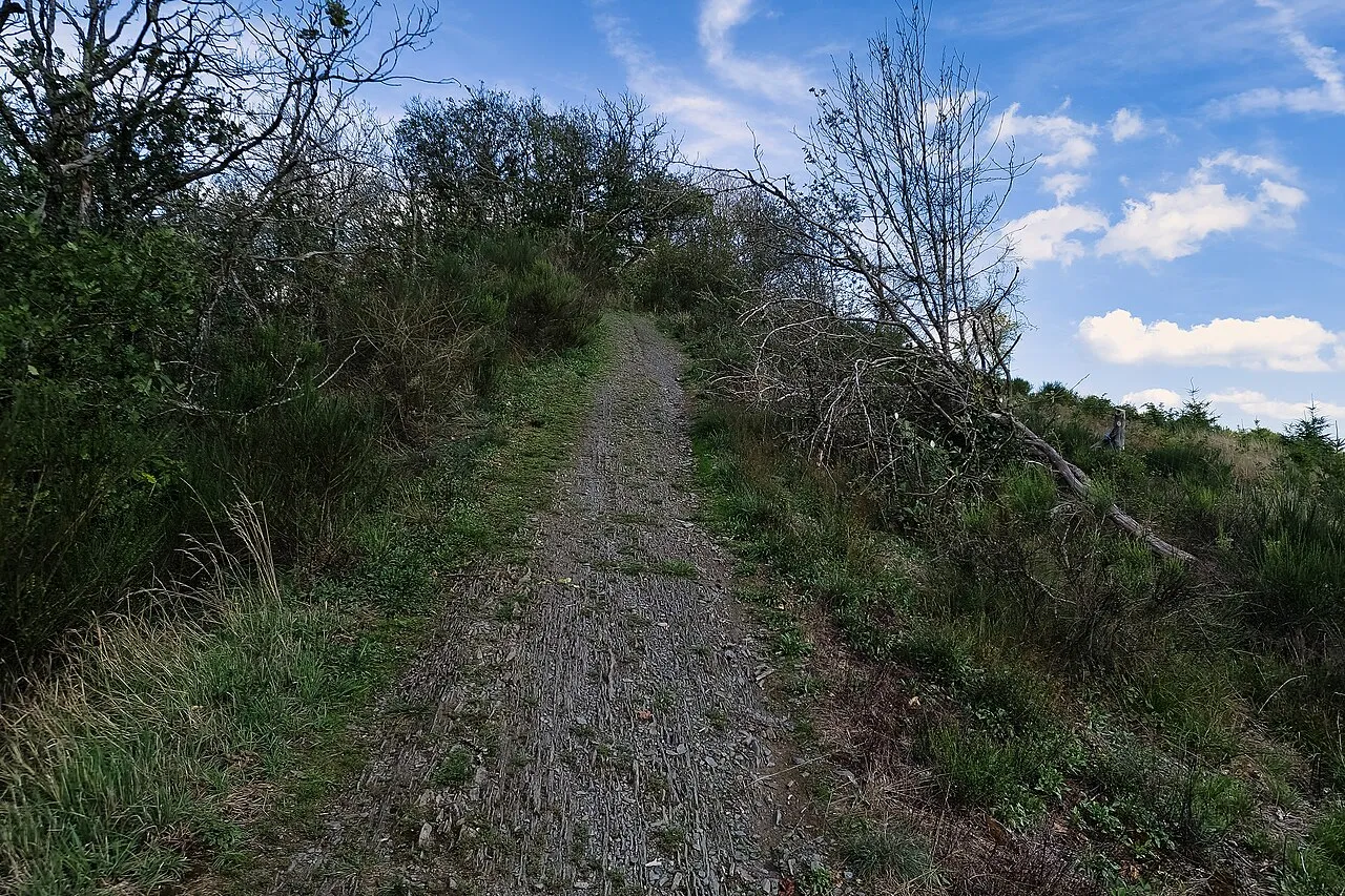 Ueweschlaed