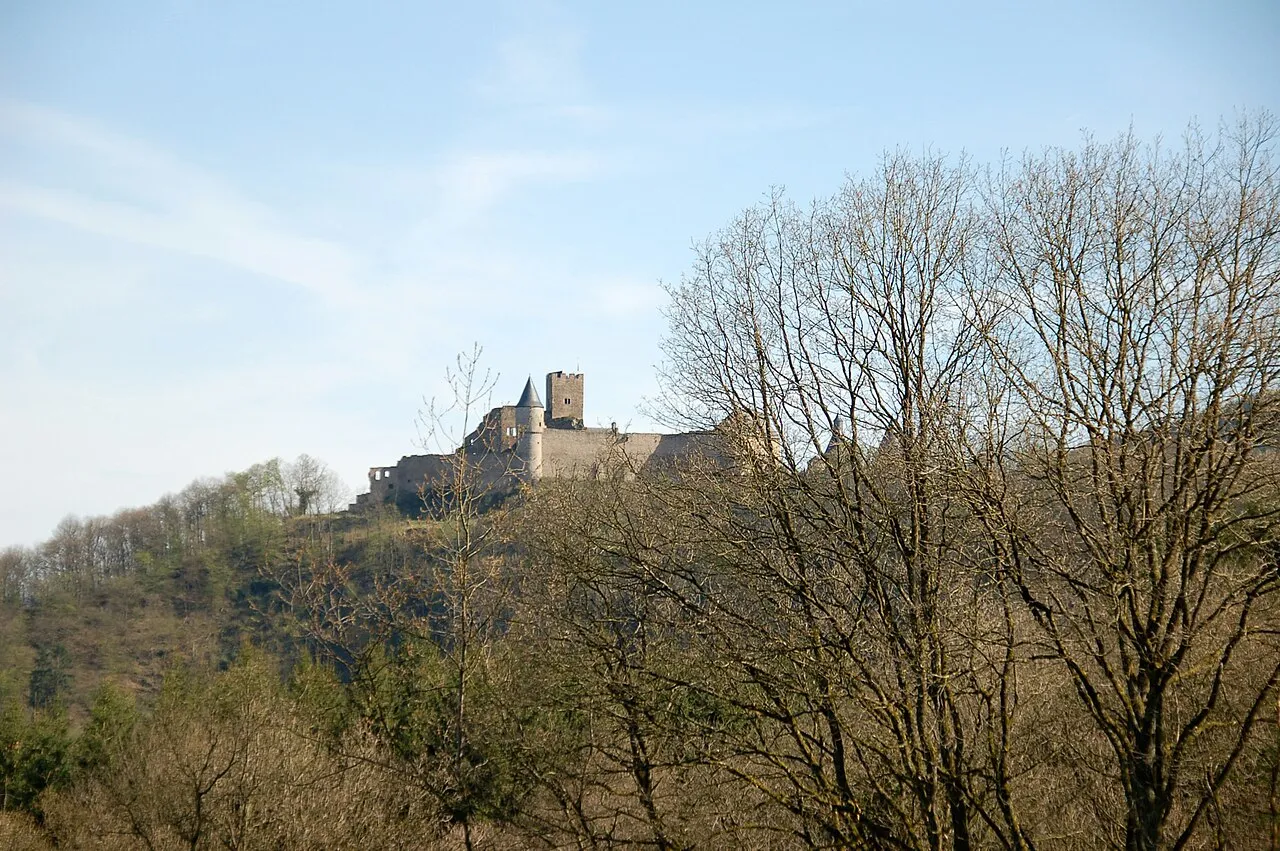 Schlaedbësch