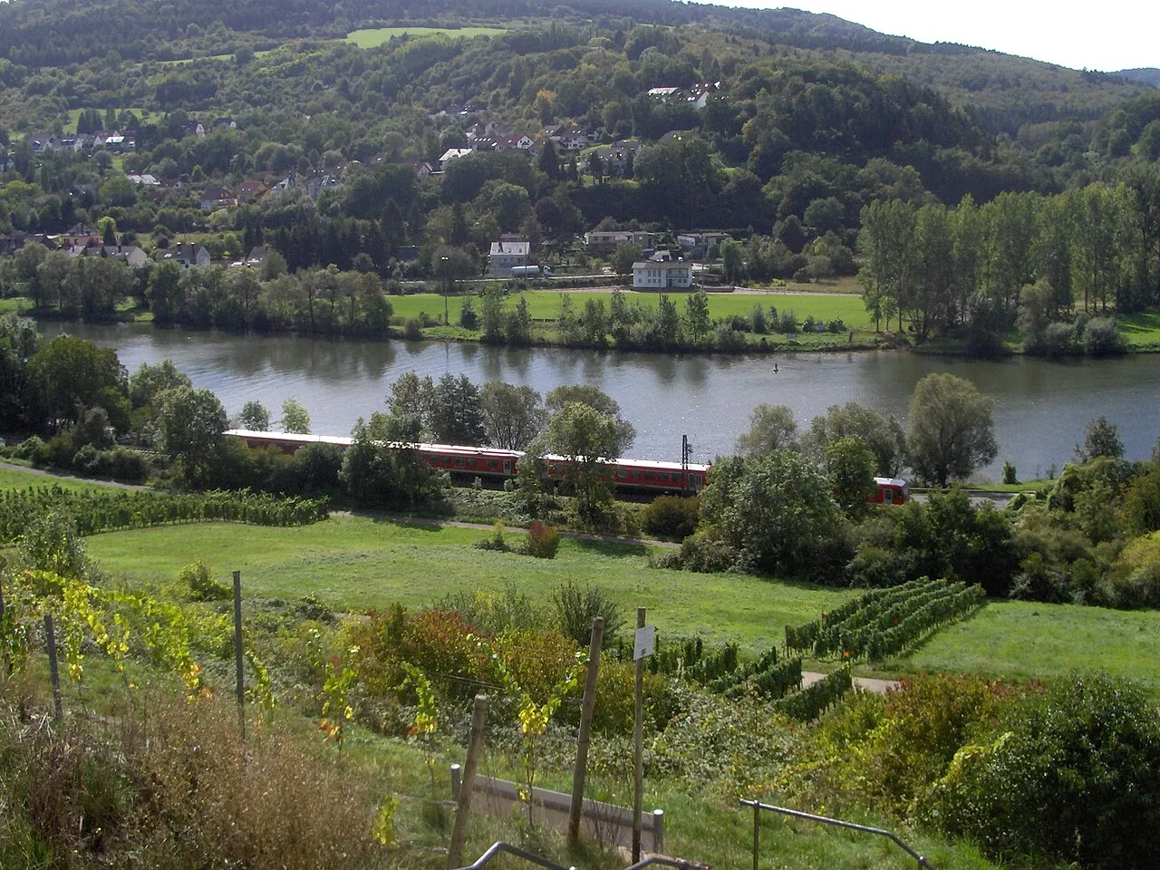 Moselblick am Igeler Sprung