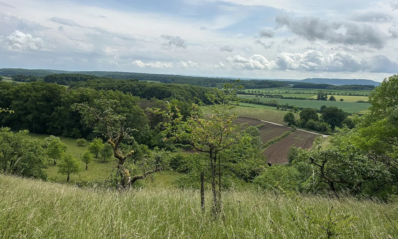 Duelenhéicht