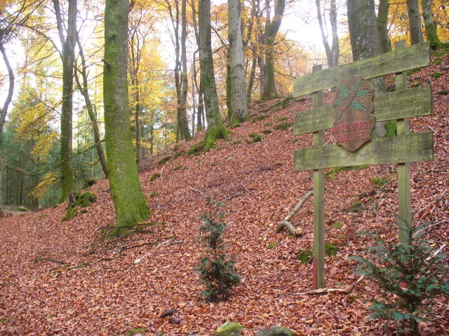 Wikingerburg