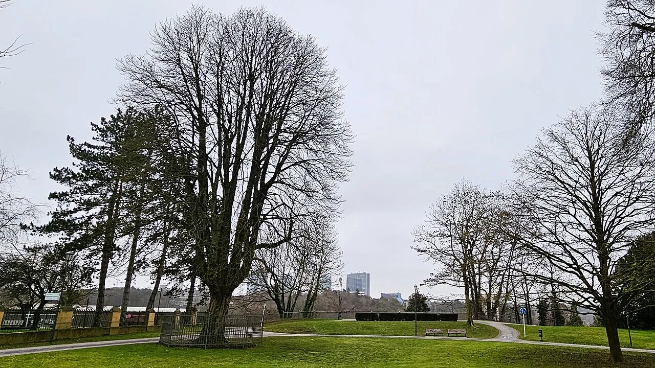 Fort Berlaimont