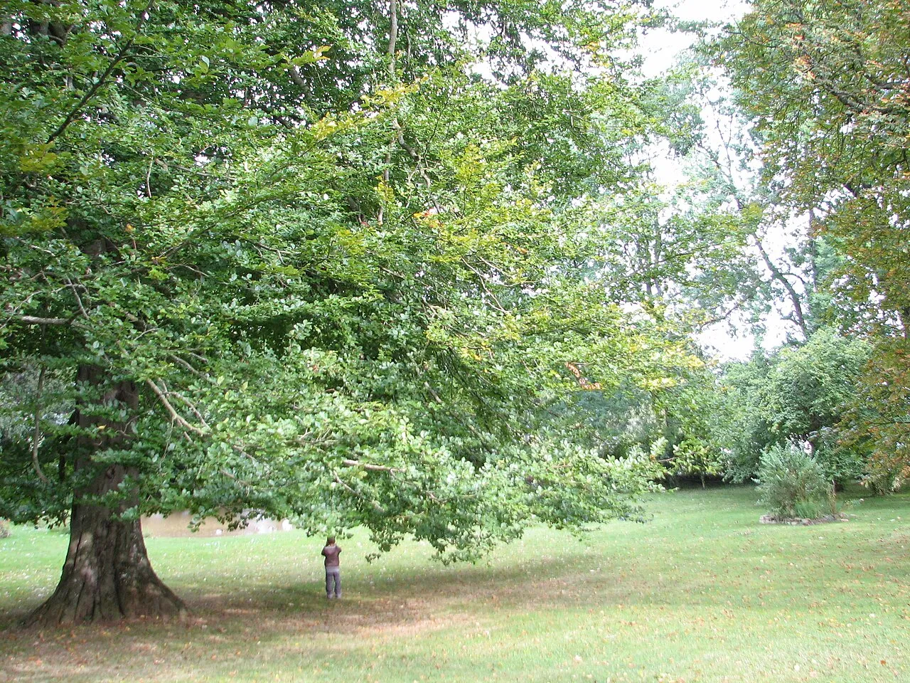 Domaine de Clémarais
