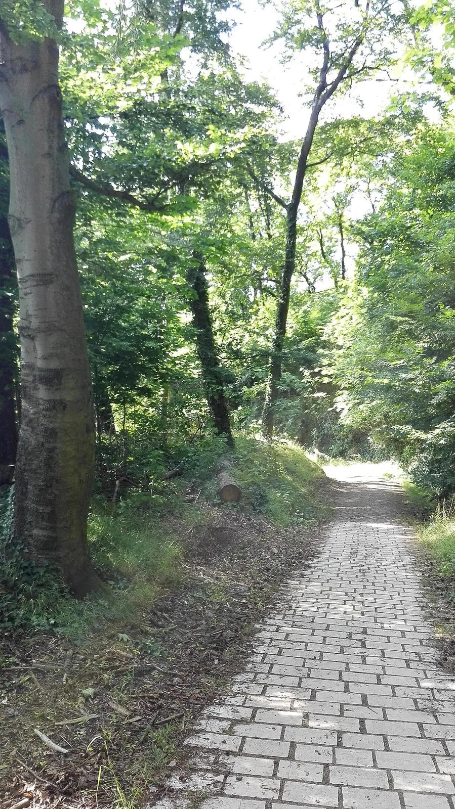 Pulverdepot Fort Obergrünwald