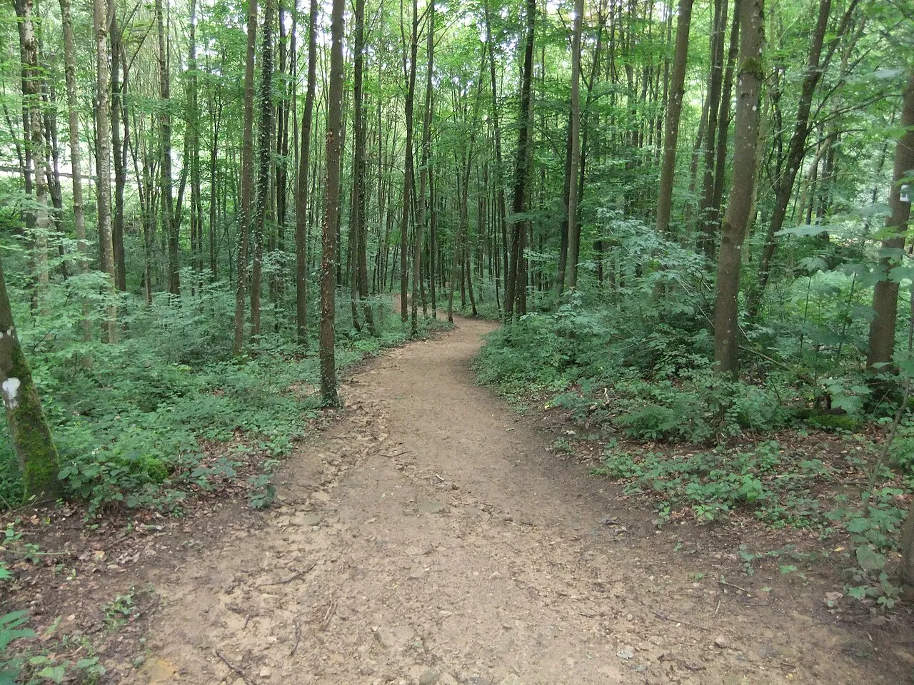 Hangelsbour
