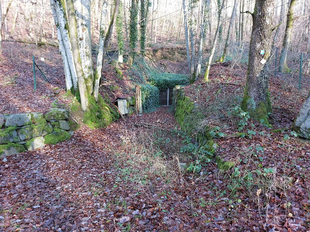 Mine d'Antimoine Goesdorf - Galerie Principale