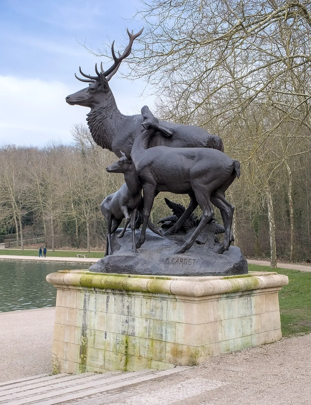 Cerf, biche et faon courant