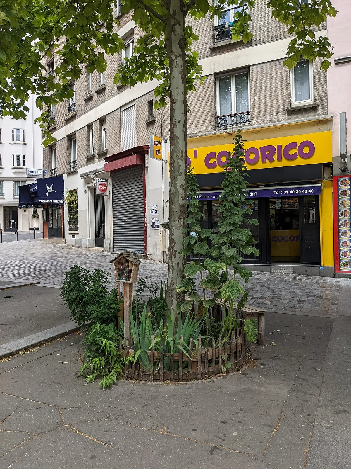 Fontaine Wallace