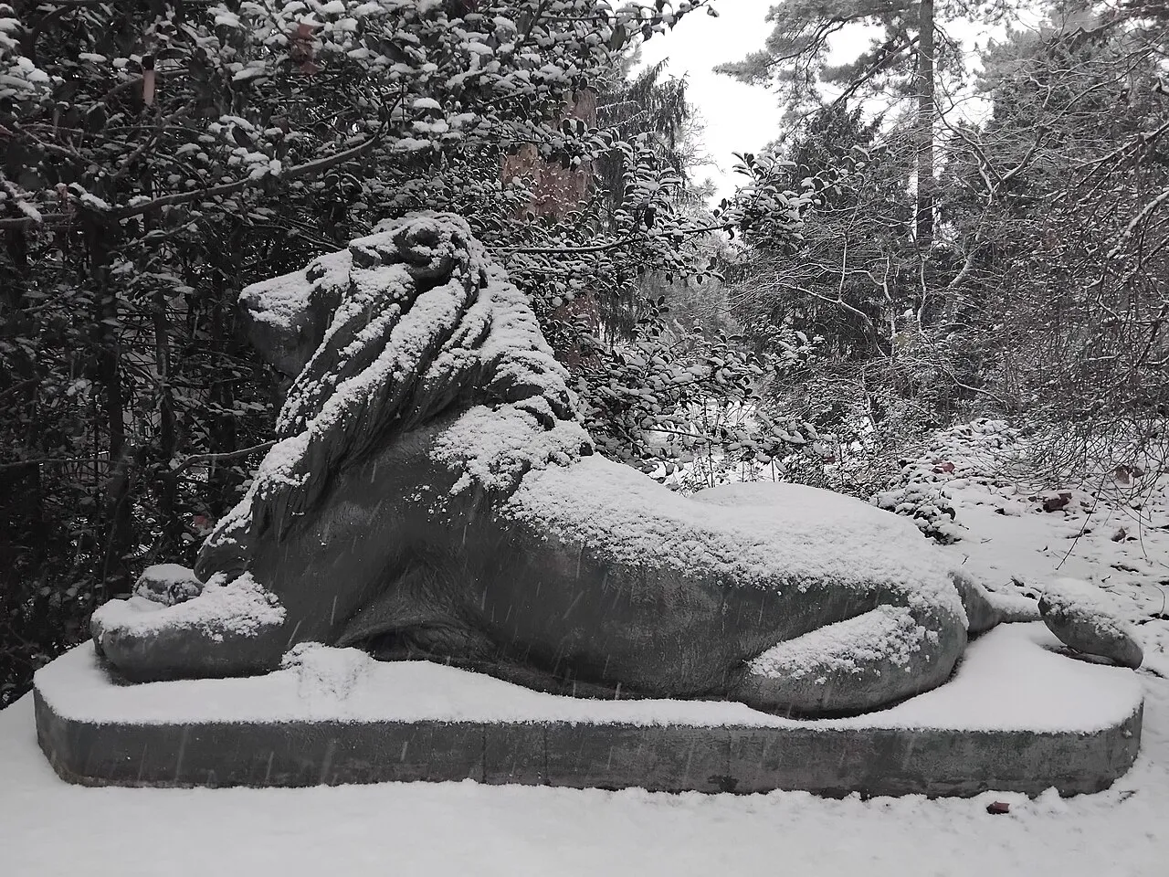 Lion protégeant un chien