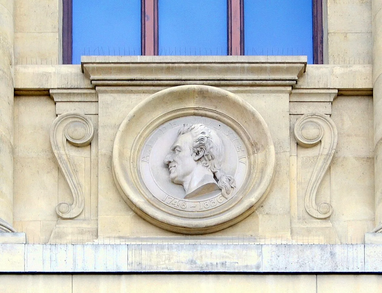 Jussieu