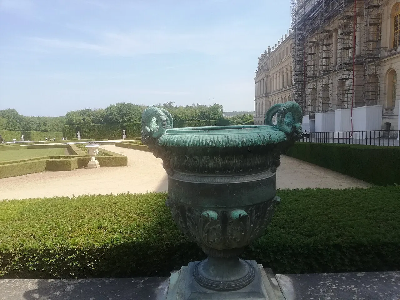 Vase aux raisins