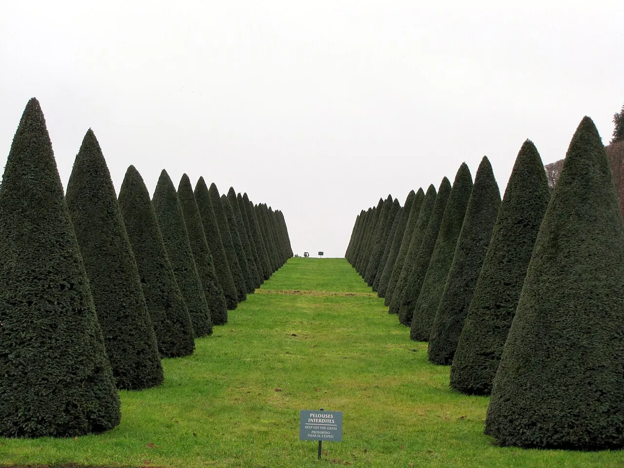 La Terre